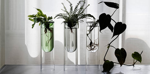 Home Styling